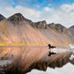 Iceland Horses 1000 Piece Puzzle