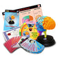 Human Brain Anatomy STEM Set