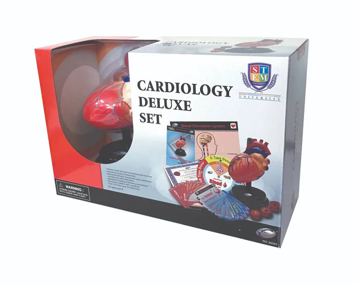 Heart Cardiology Model STEM Set