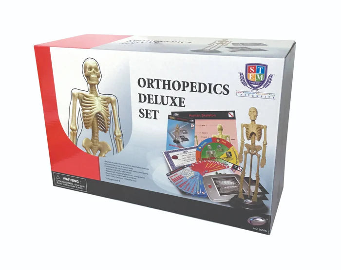 Human Skeleton Orthopedics Model STEM Set