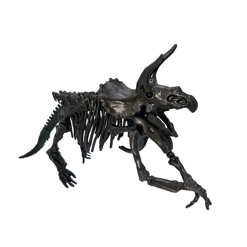 Dinosaur Skeleton Kit