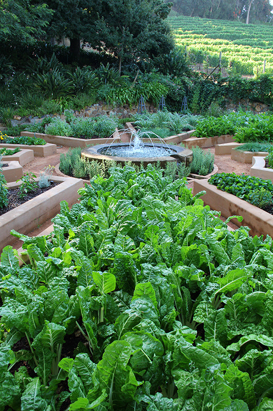 Learn and Grow Kit - Pre-school